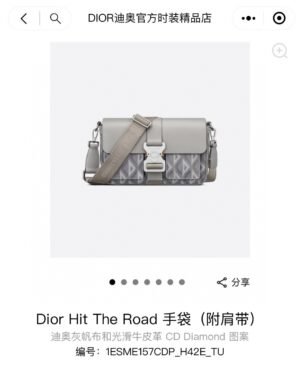 Dior Hit The Road Bag – Light Grey